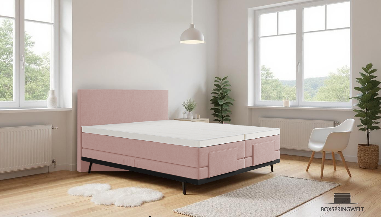 Boxpspringbett Mika in Board Rosa