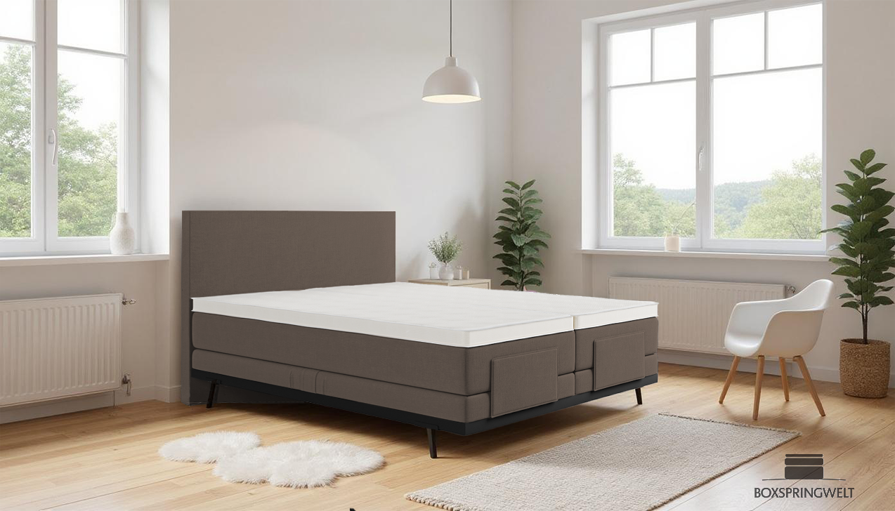 Boxpspringbett Mika in Board Taupe