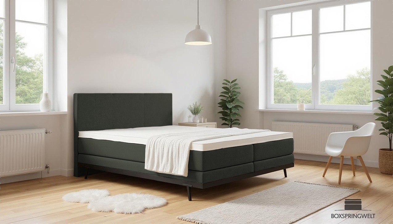 Boxpspringbett Mika ohne Motor in Soil Anthrazit