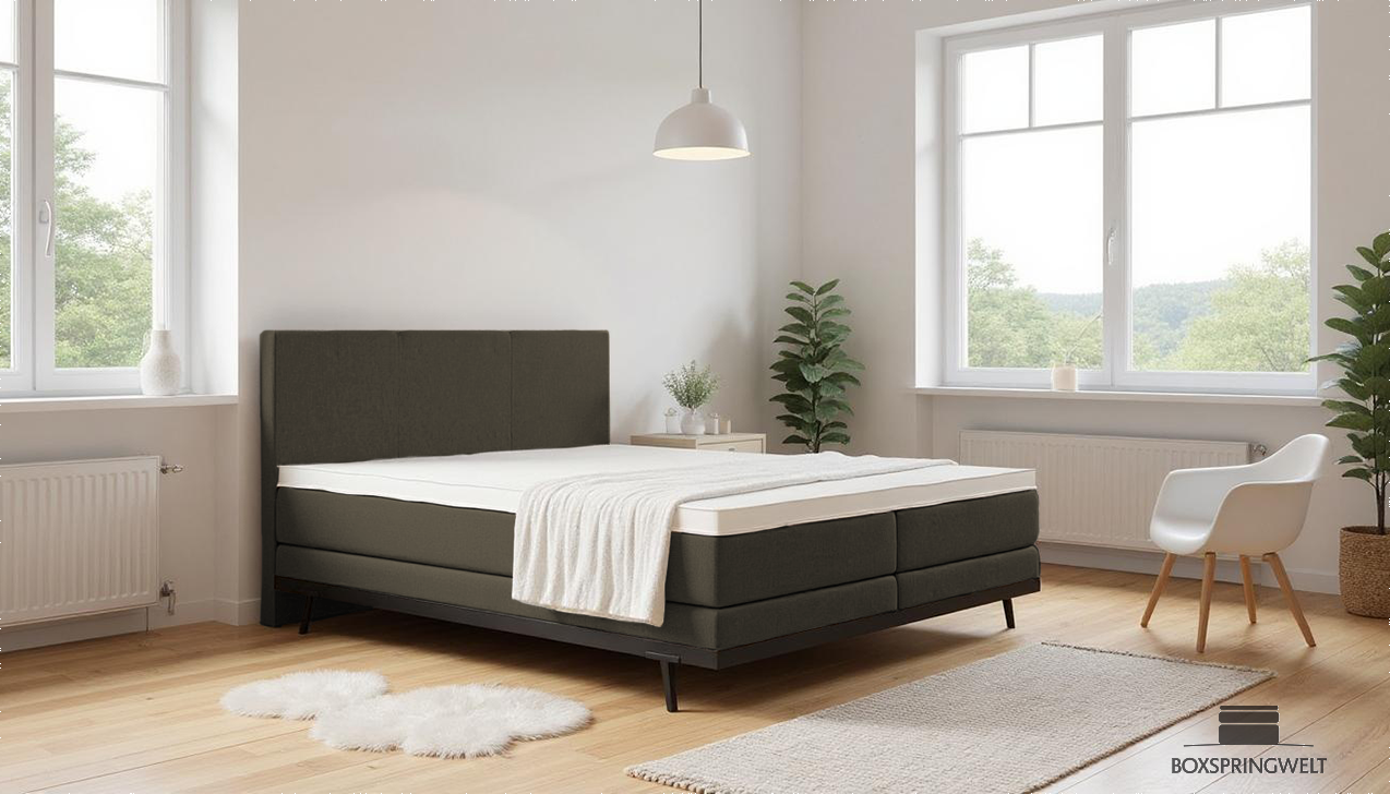 Boxpspringbett Mika in Soil Darkgrey