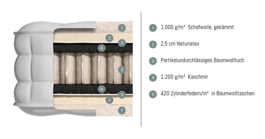 Sattler Matratze Chopin Querschnitt